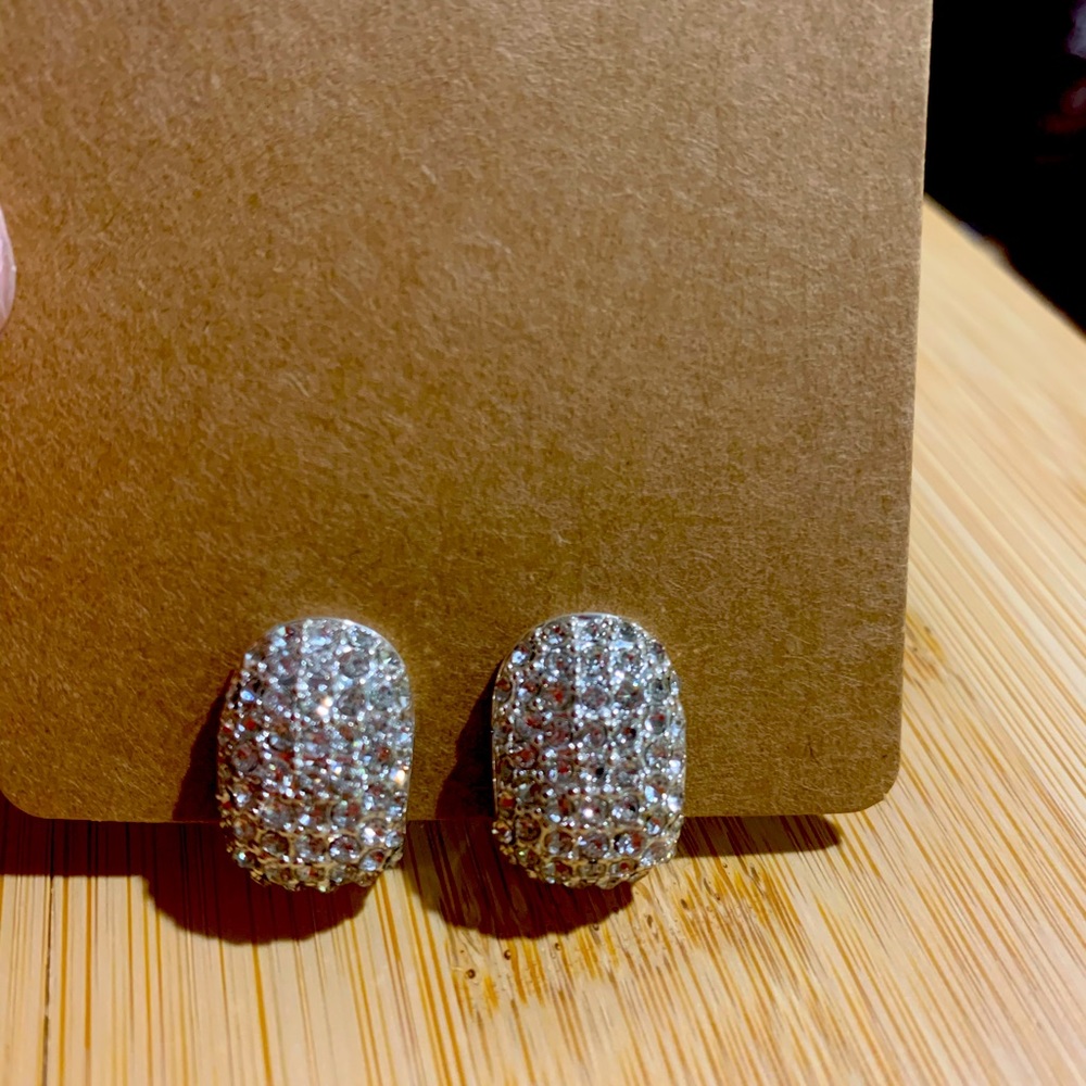 Clip on Sparkle Magnetic Earrings